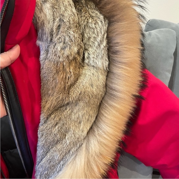 Rare RUDSAK Parka - Picture 5 of 10